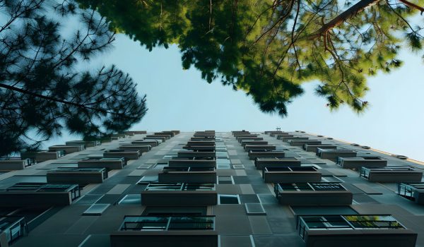 sustainability-green-standards